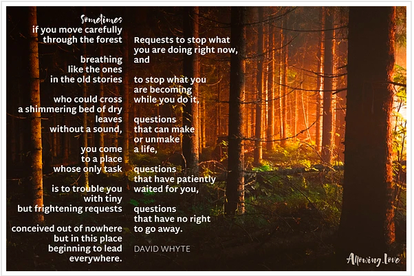 Sometimes - David Whyte.