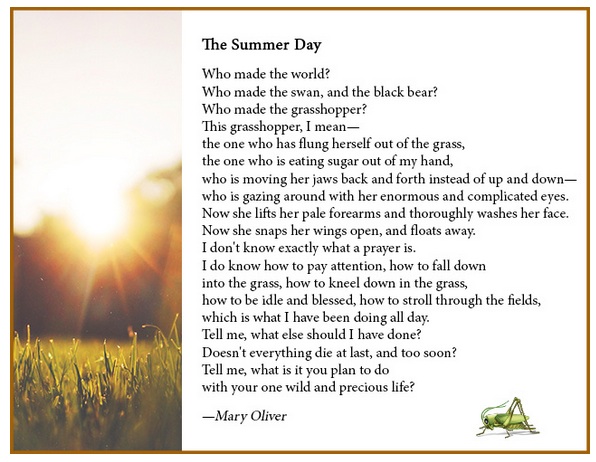 The Summer Day Mary Oliver